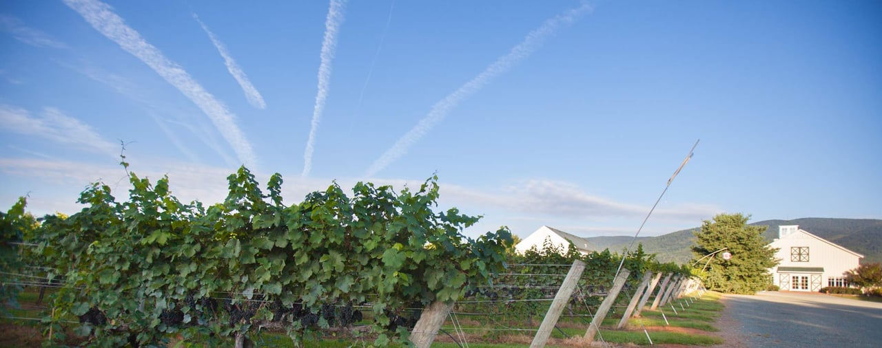 Your Perfect Day in Charlottesville – Noon