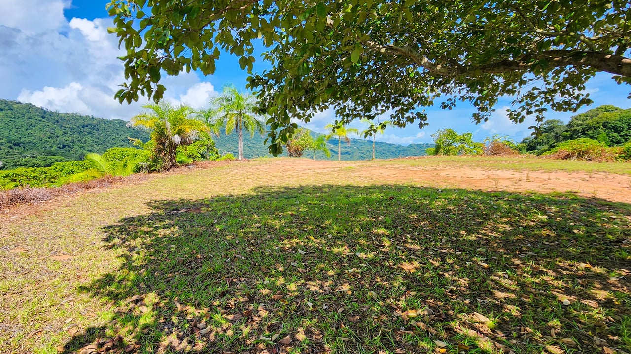 MANGO MANOR RIDGE PREMIER OCEAN VIEW PROPERTY IN DOMINICAL