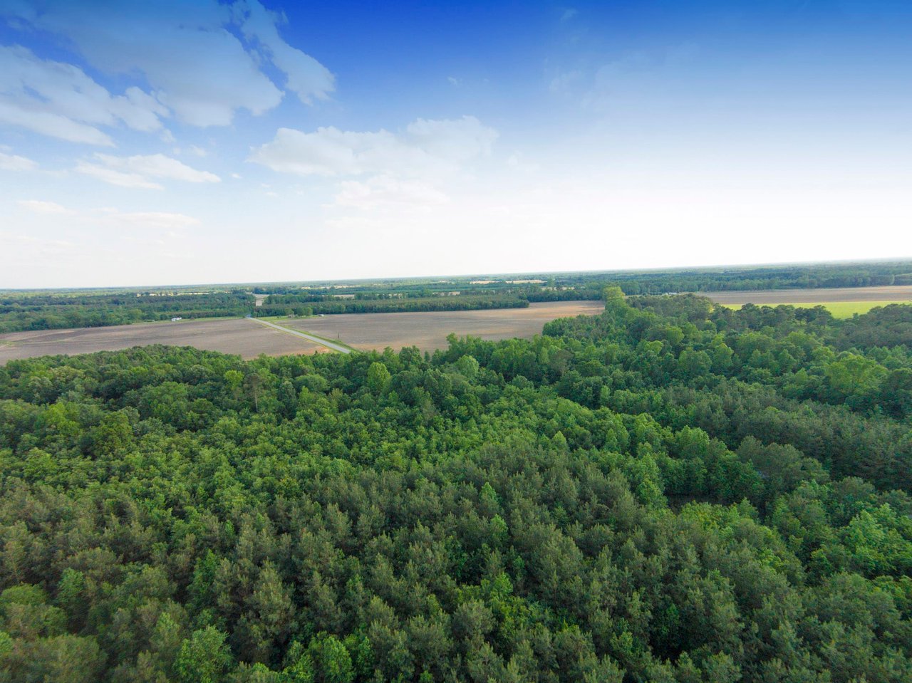 Edgecombe County, NC Land For Sale - 354 Acres