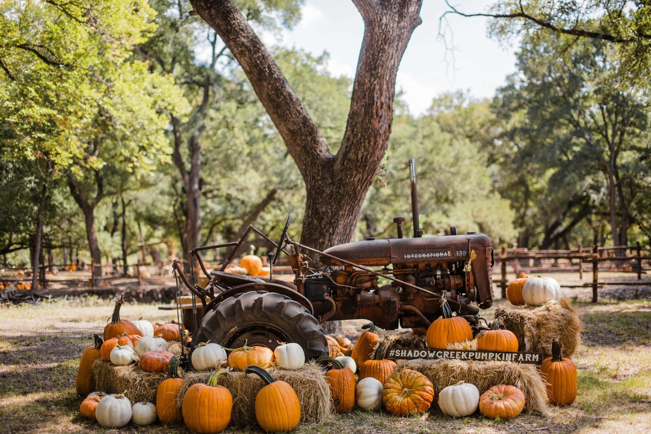 September Bowtied Guide: Pumpkin Patches