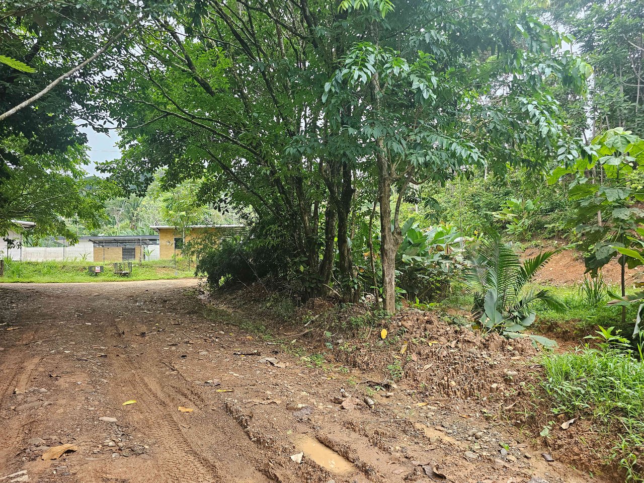 Discover Your Dream in Uvita's Prime Real Estate