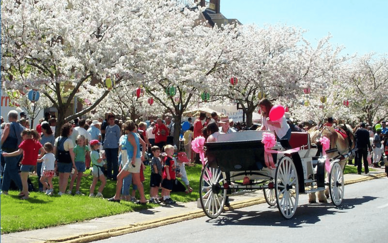 9 Best Ways to See Spring Blooms in Atlanta