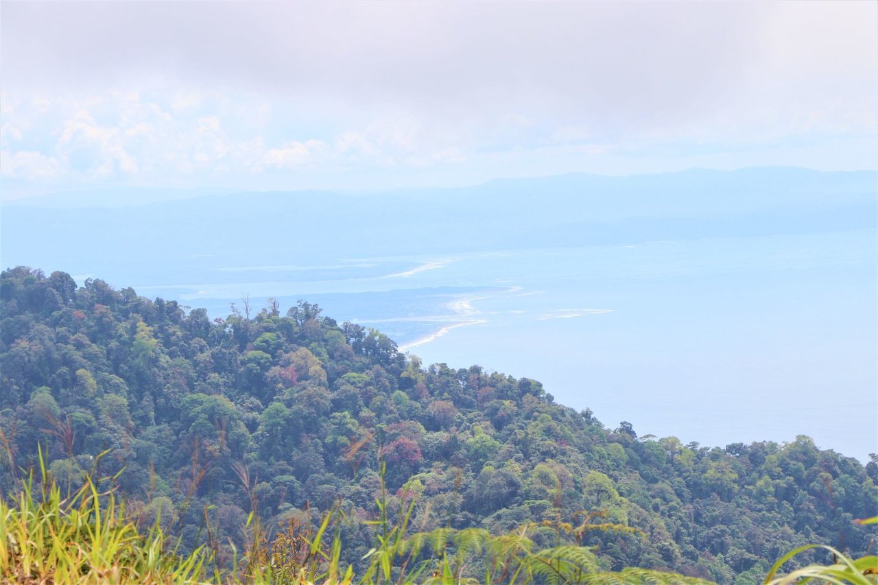 Ocean View Development Farms, Uvita, Puntarenas