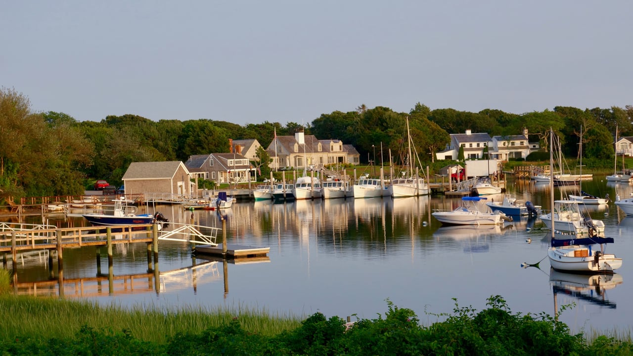 Cape Cod