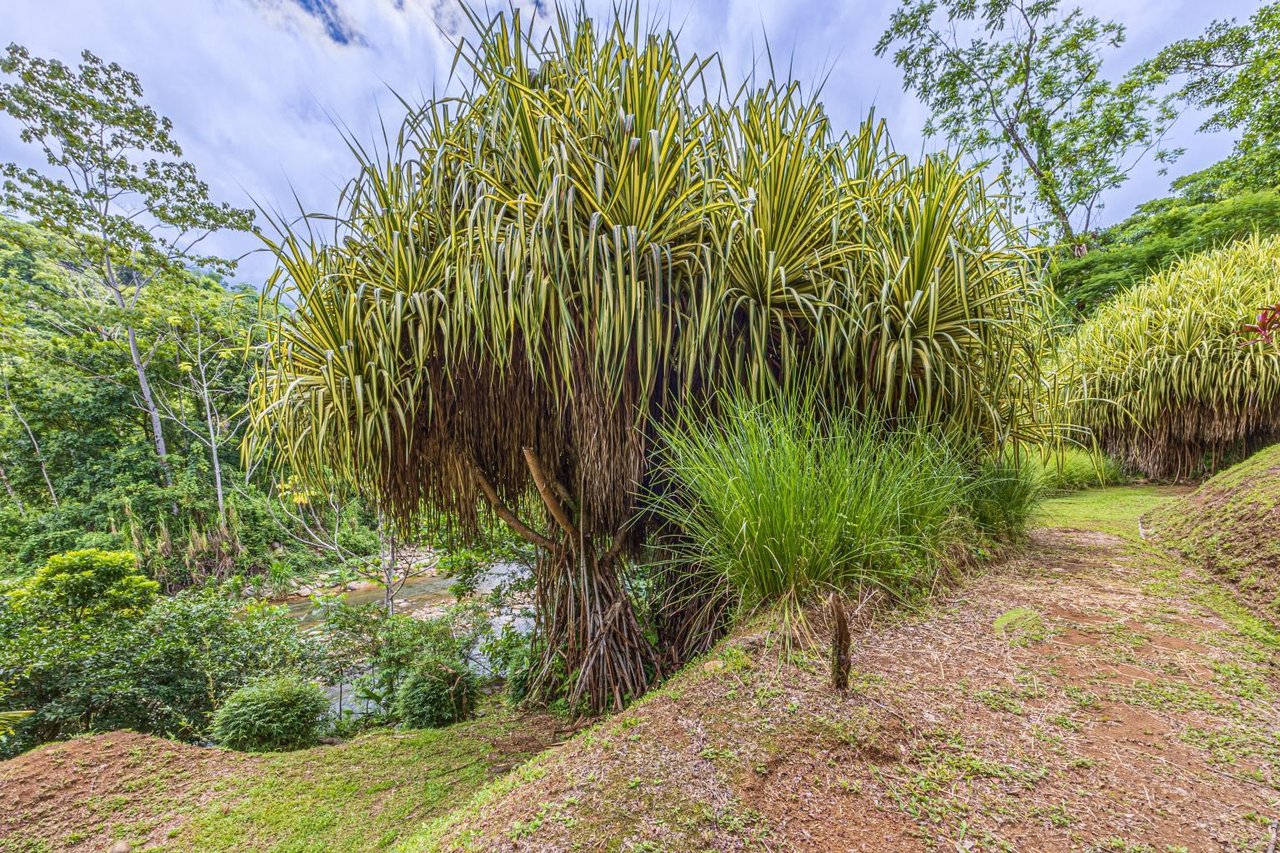 Uvita, Jungle Retreat Center on the Uvita River. Private and 17 Acres