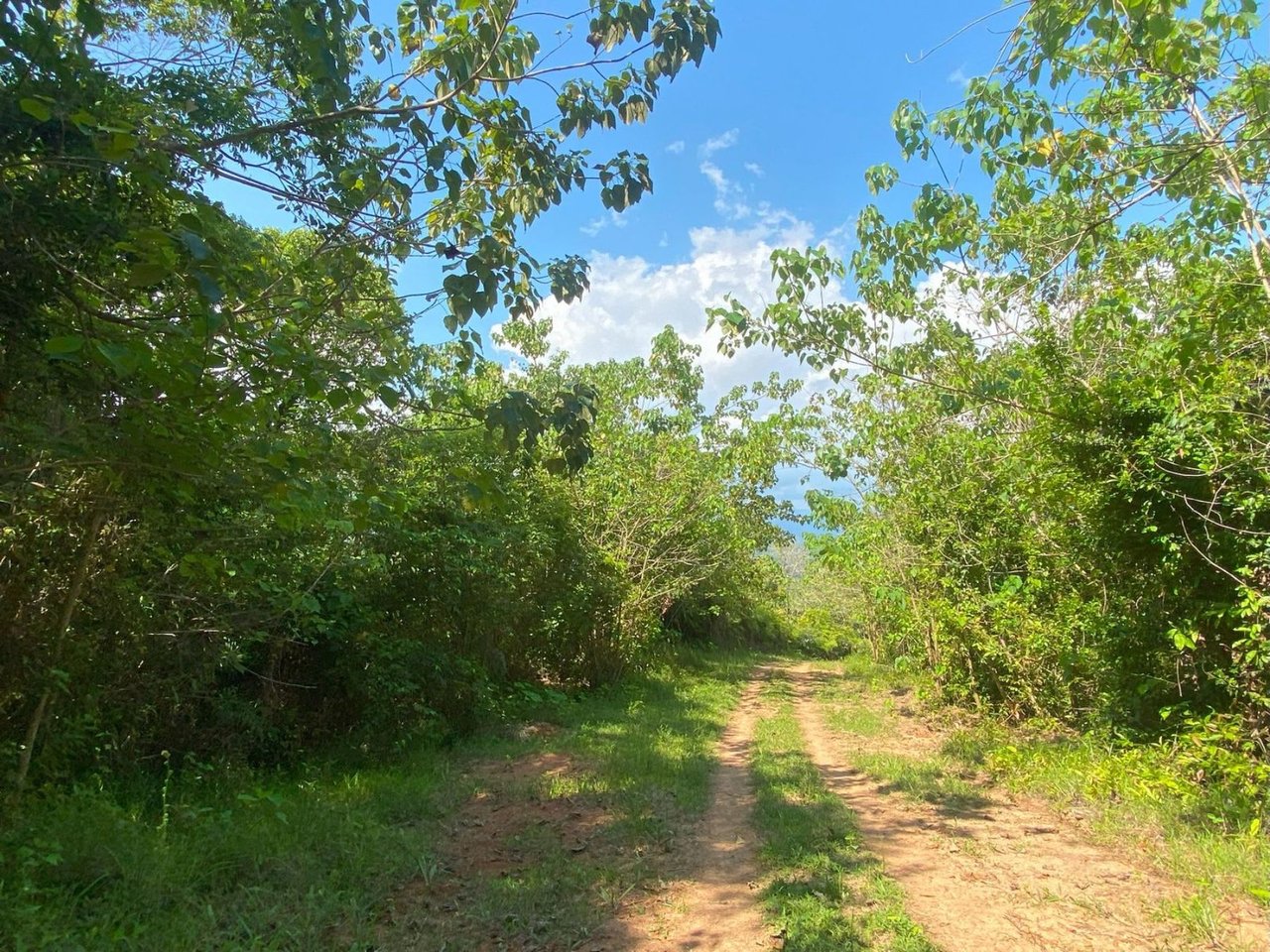 Mountain River View Farm, Osa, Puntarenas