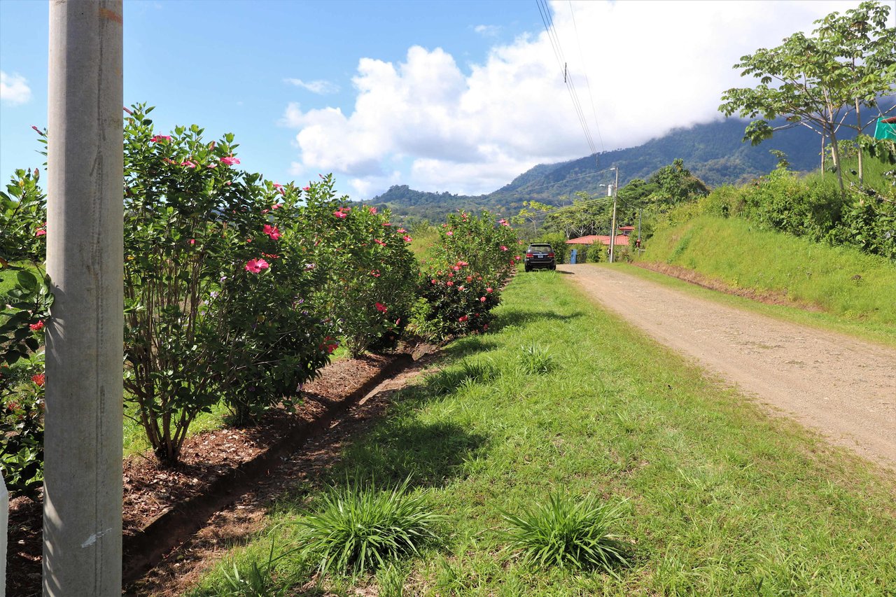 Large Mountain View Lot. 