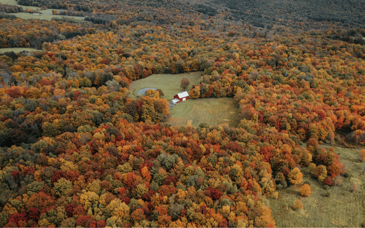 Living in Ulster County, NY