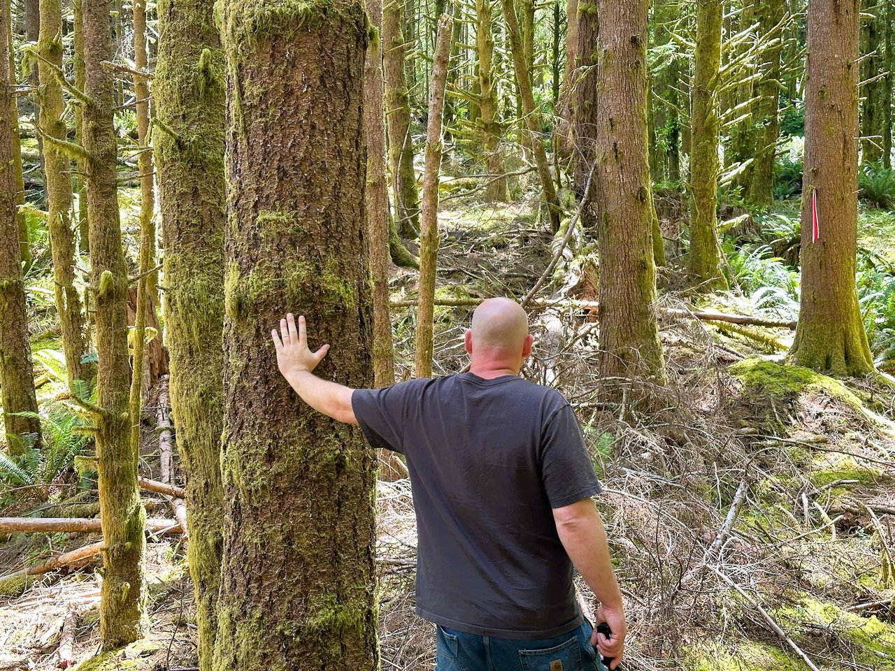 Yaquina Forest