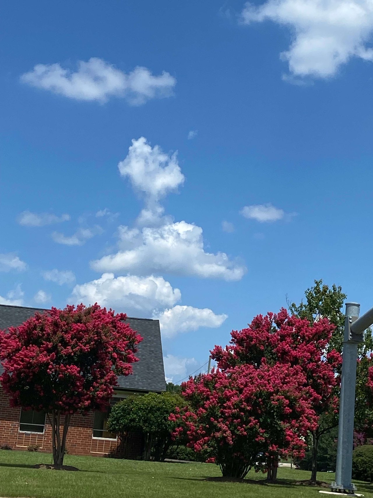 Capital city of North Carolina