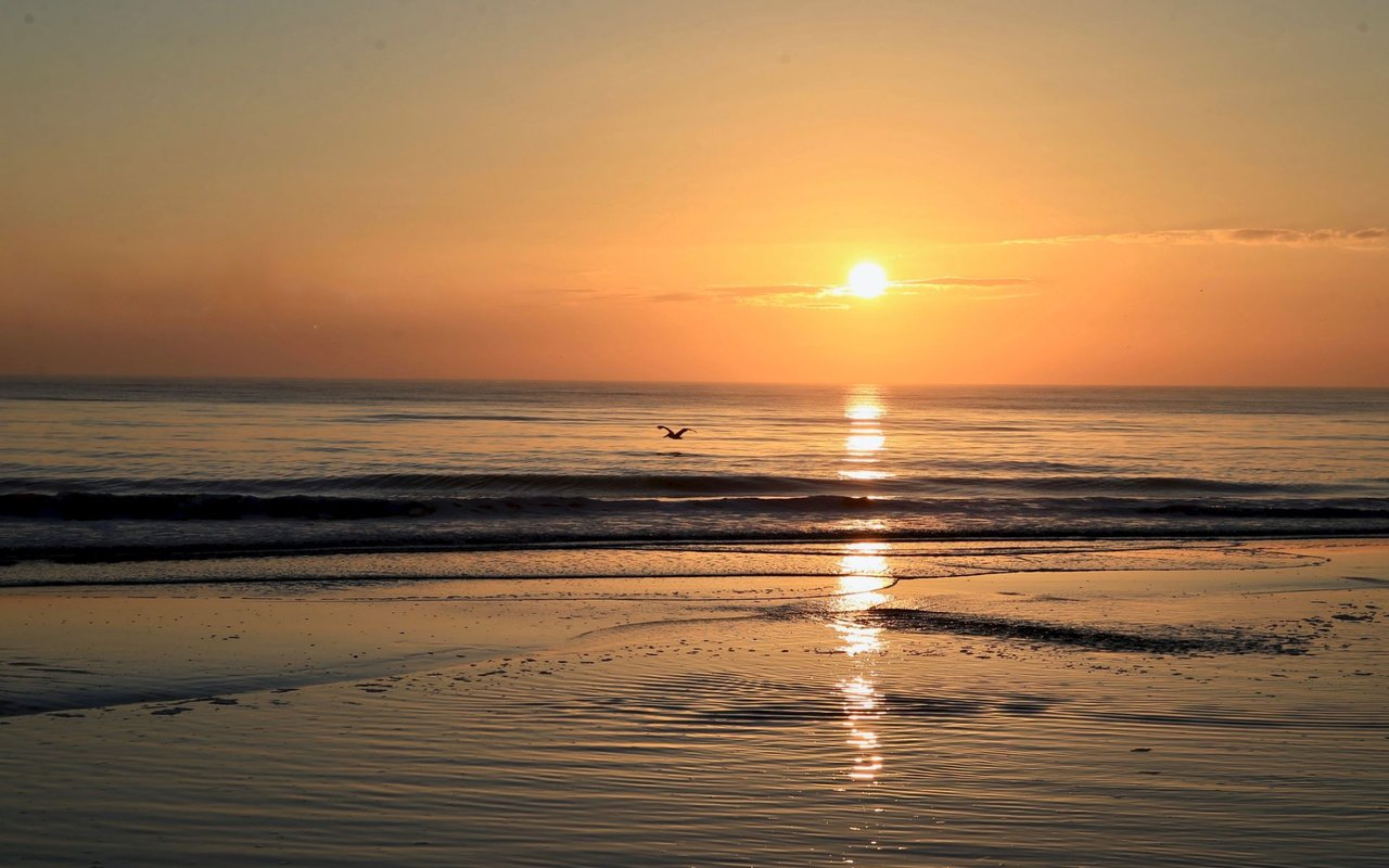 Jacksonville Beaches