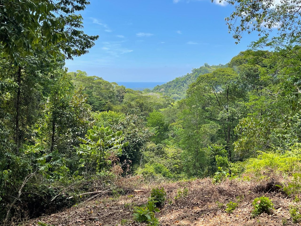 Tranquil Paradise in Portasol Gated Community, Lot C11, Portalon, Costa Rica
