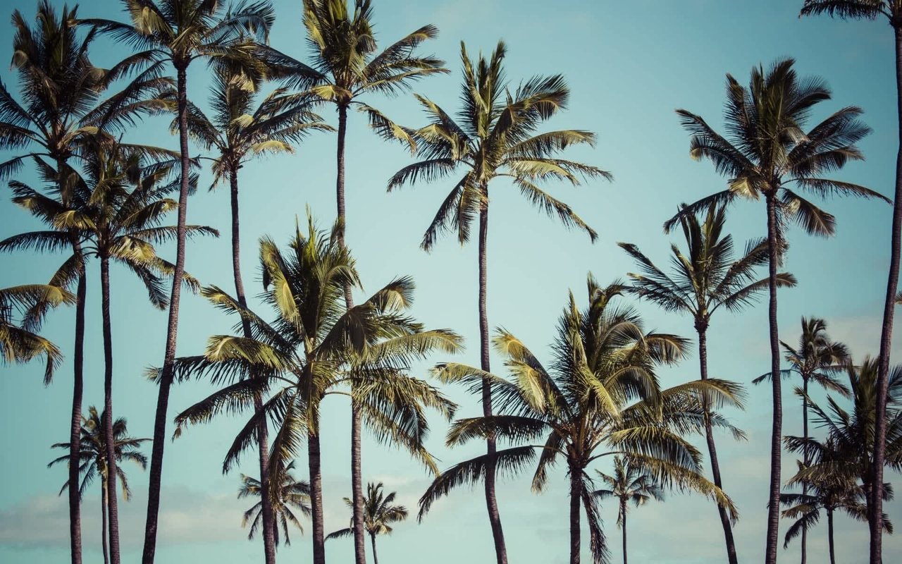 Pacific Palisades Neighborhoods Los Angeles Braemar Hill Area Introduction