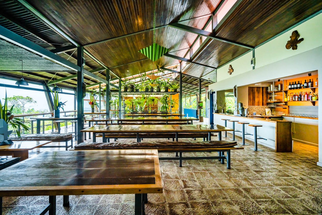 Celeste Mountain Lodge | Mountain Hotel/Resort/Hostel For Sale!