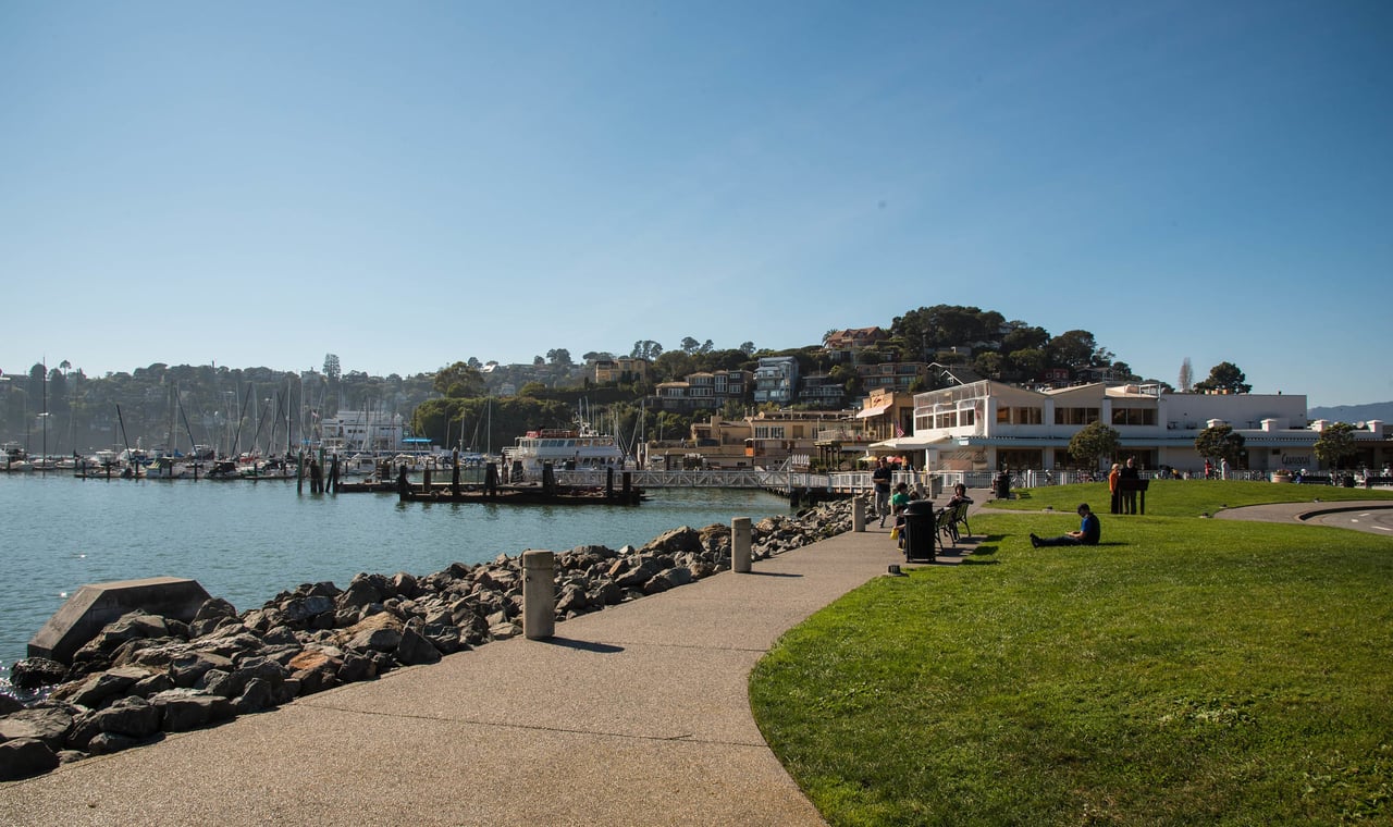 Rarely Available Magnificent Point Tiburon Property 