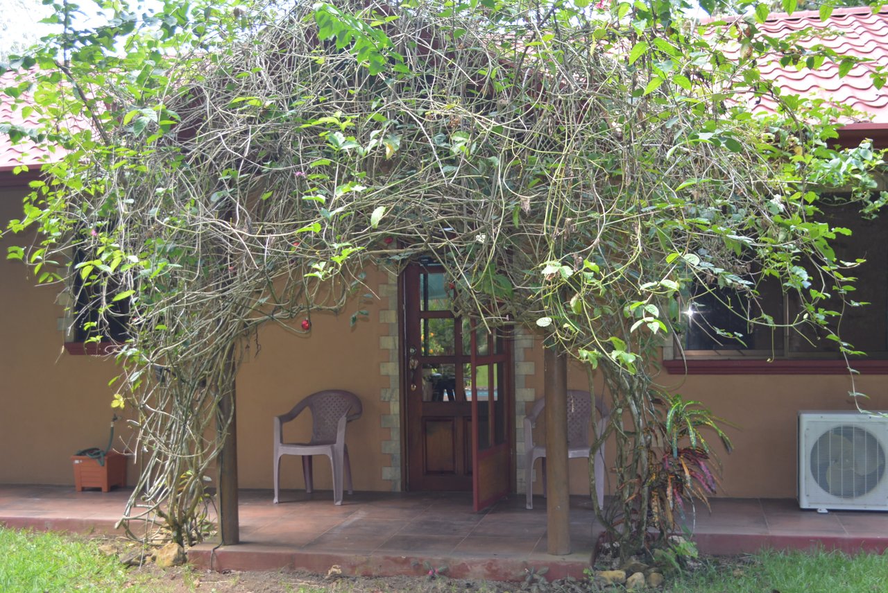 Sierpe River Front Home Casa De La Mariposa Amarillo