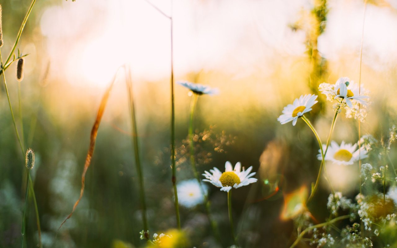 Space Coast Springtime Home Maintenance Checklist