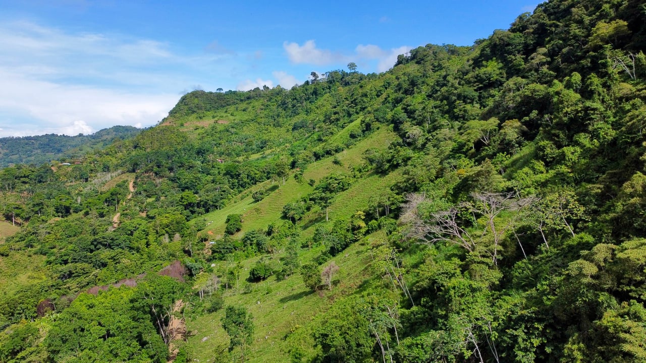 Stunning Ocean View Farm in San Luis de Morete, Over 23 Acres