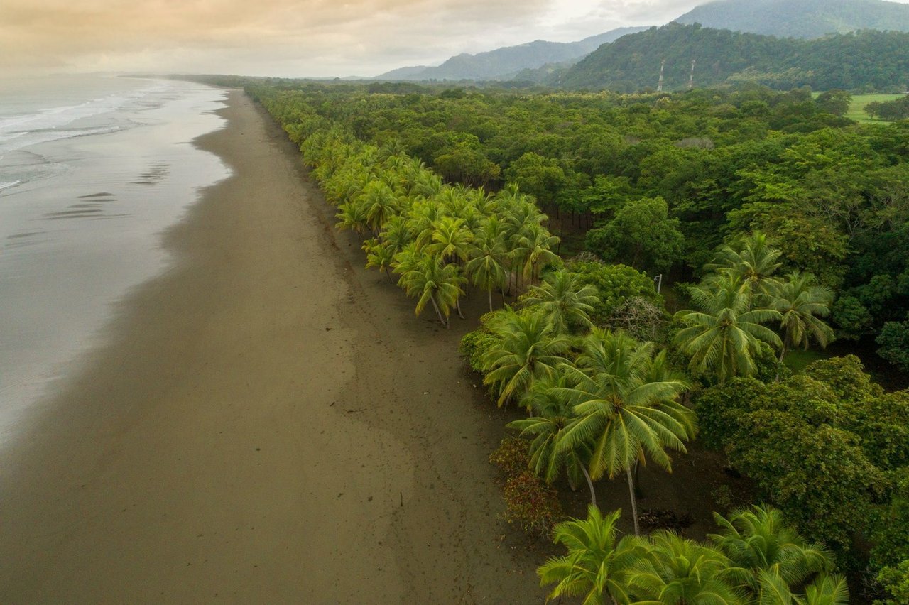 Beachfront Development Land, Dominical, Puntarenas