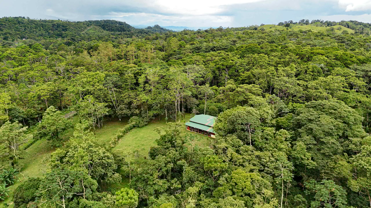 Finca Macadamia | 154-acre Rainforest Paradise with two Houses and Trails!