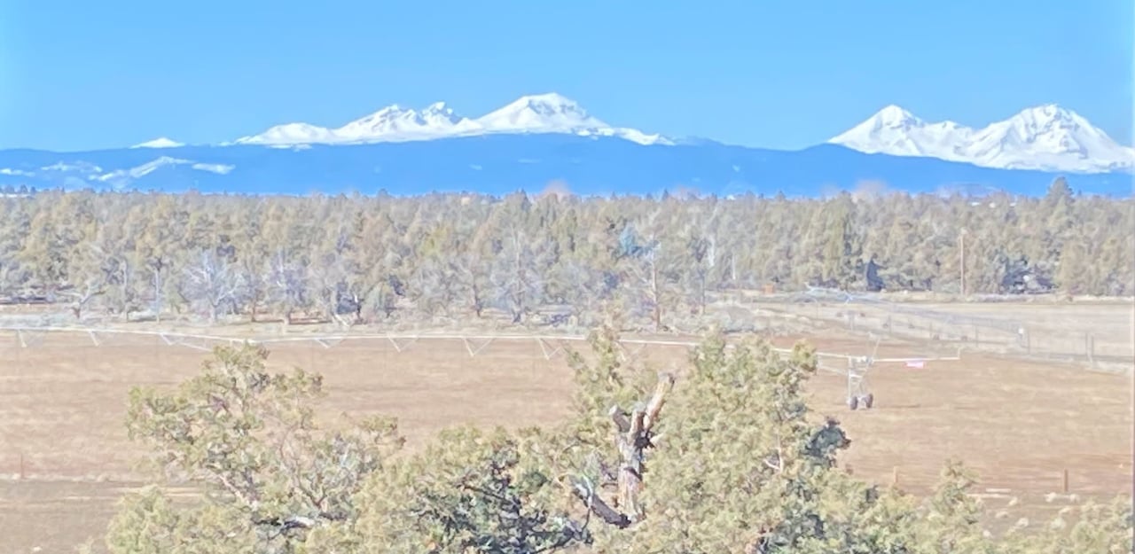 REAL ESTATE NEWS | MARCH 2024