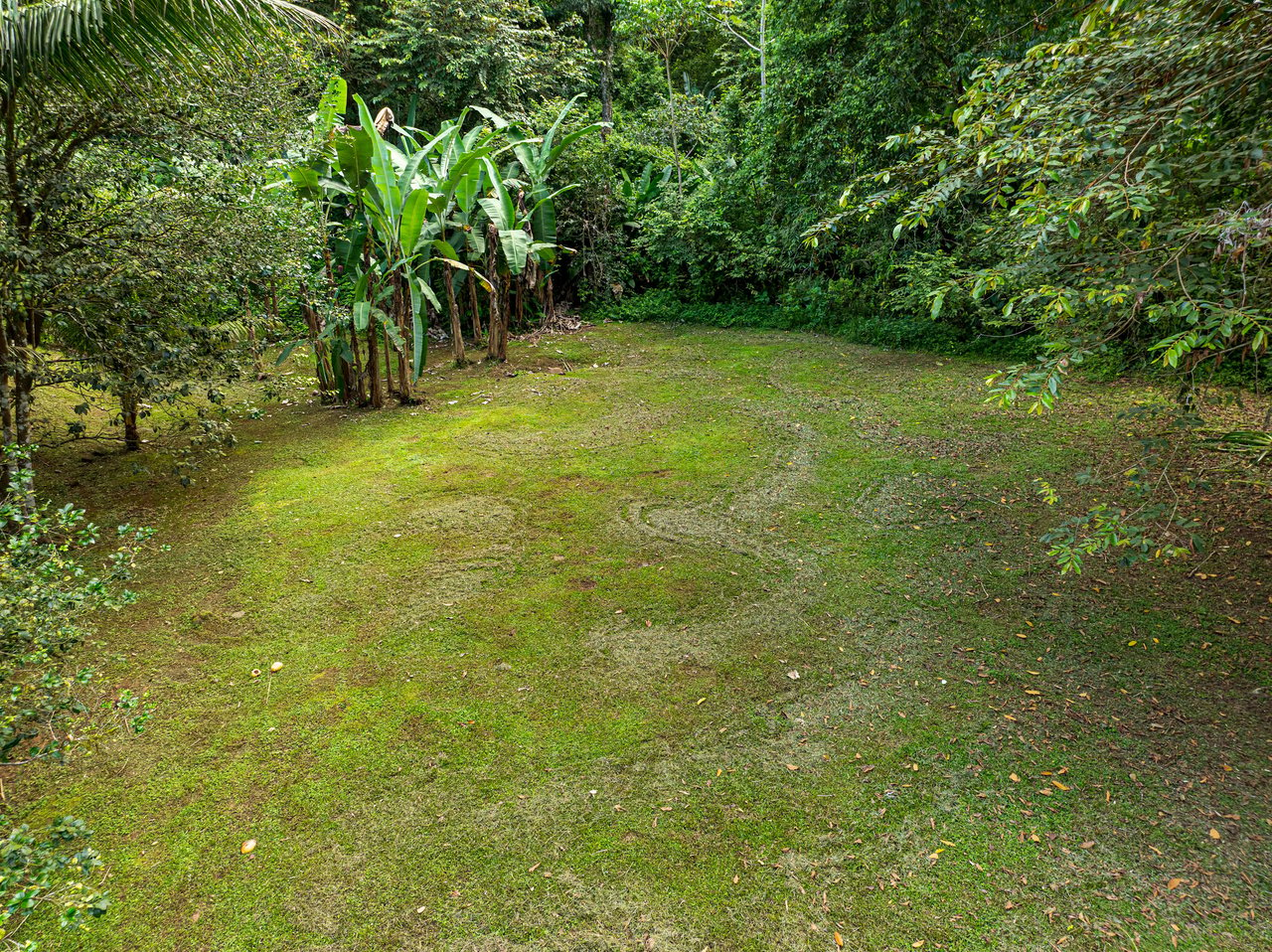 Tropical Hideaway – 7 Acres of Secluded Riverfront with a 3-Bedroom Home