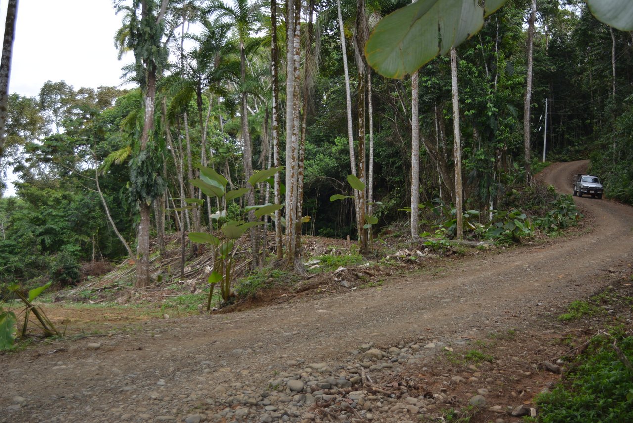 Lagunas 5 Lots 1 Acre+ Lagunas/Dominical