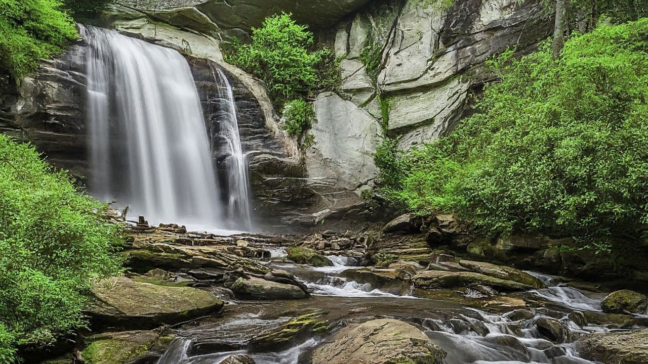 Discover the Magic of Pisgah National Forest