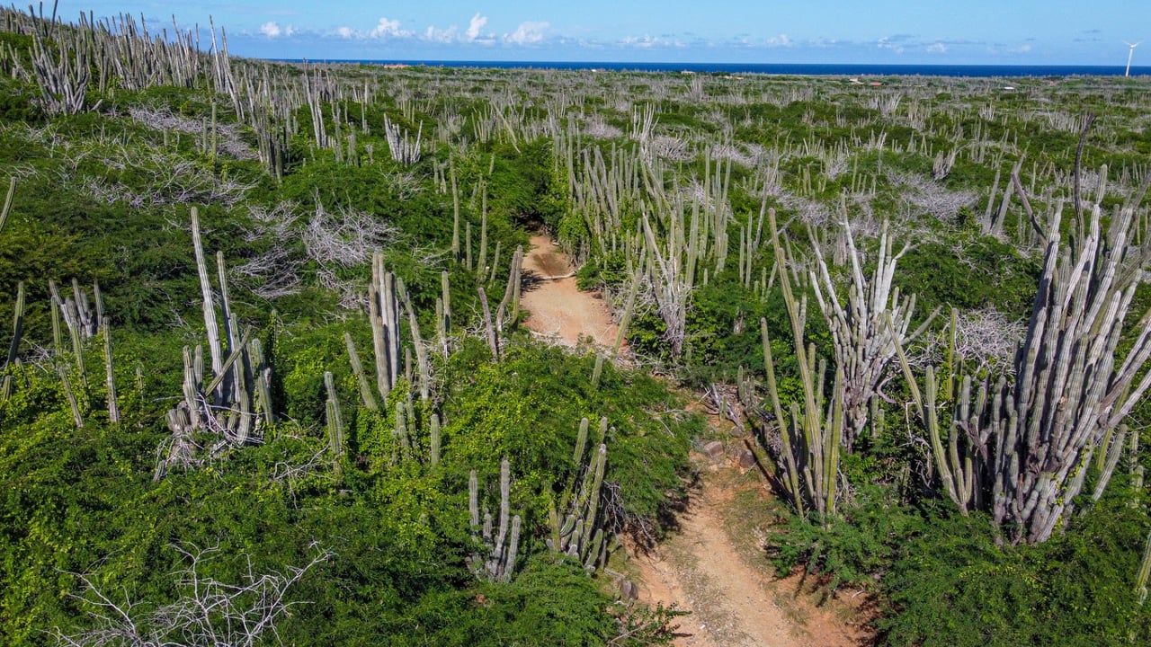 Property land Bonaire