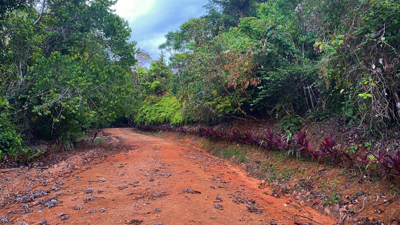 Ocean View Development Land, Ojochal, Puntarenas