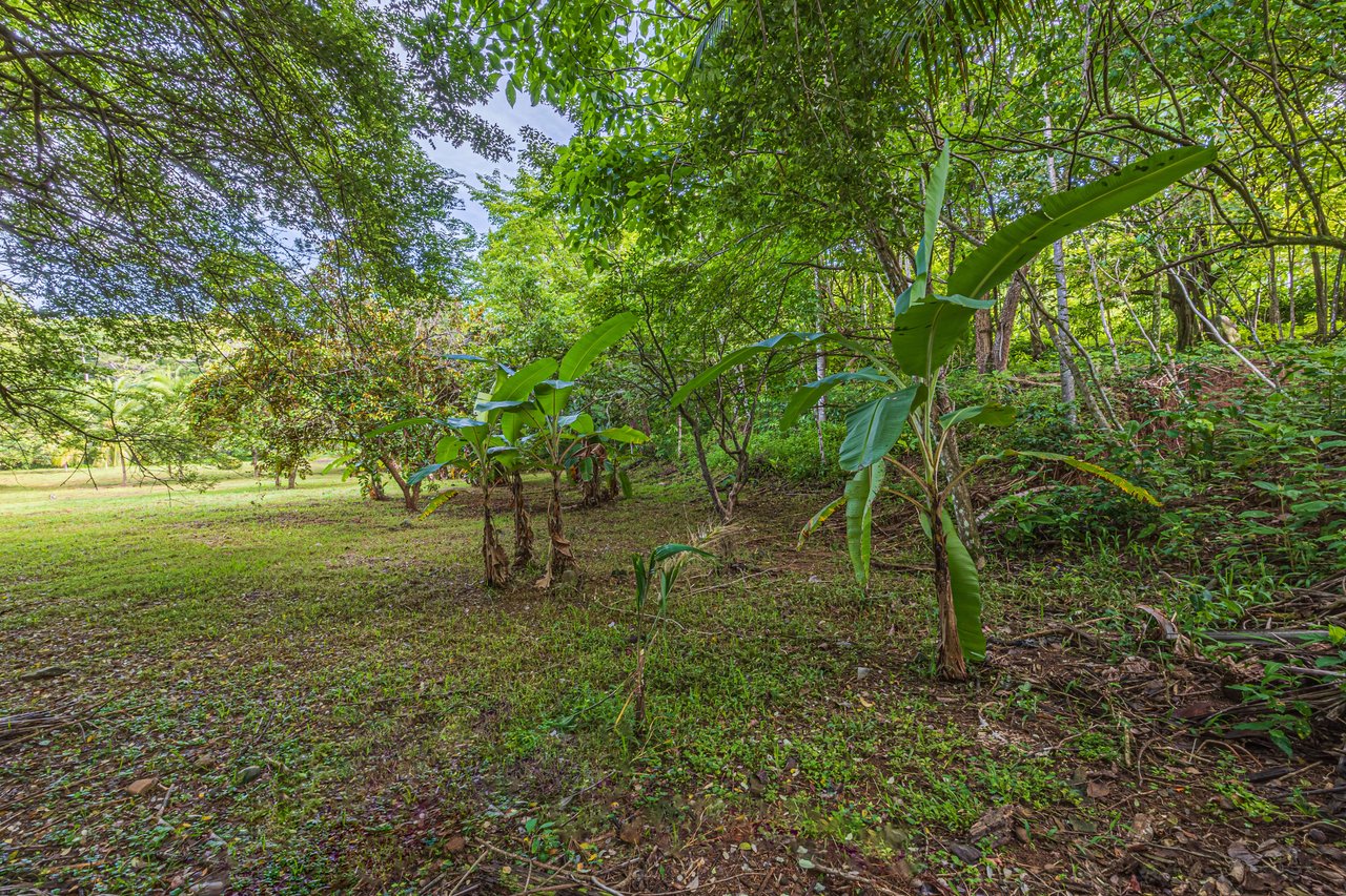 Seaside Serenity Property In Puerto Nuevo, Uvita