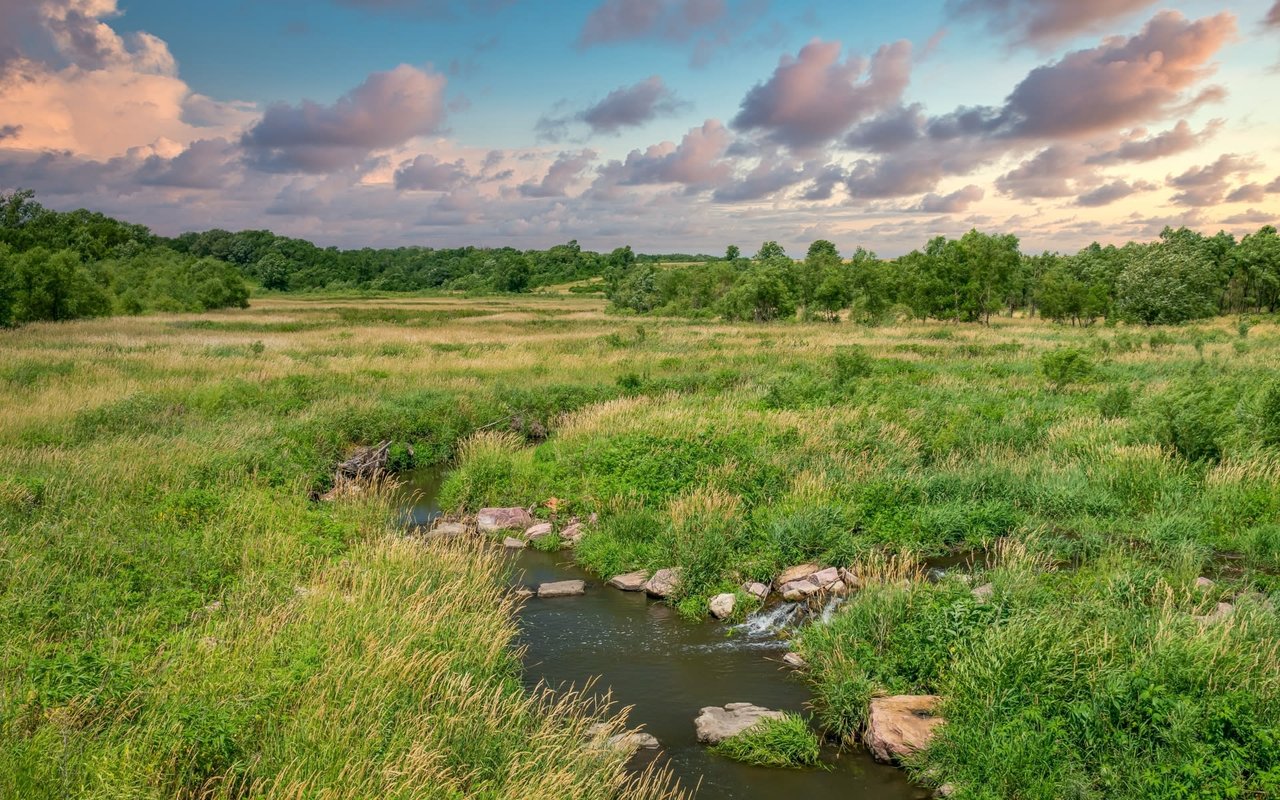 Mound / Minnetrista