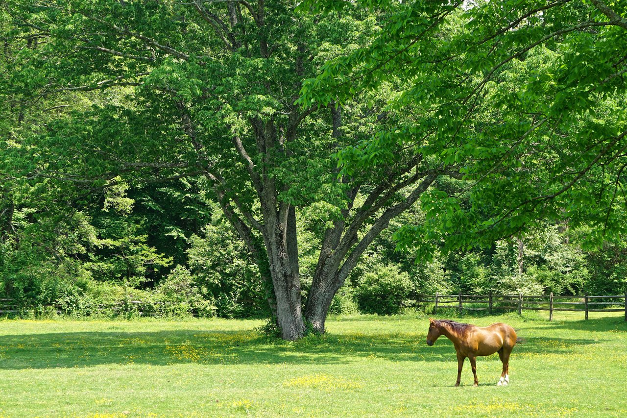 Pound Ridge