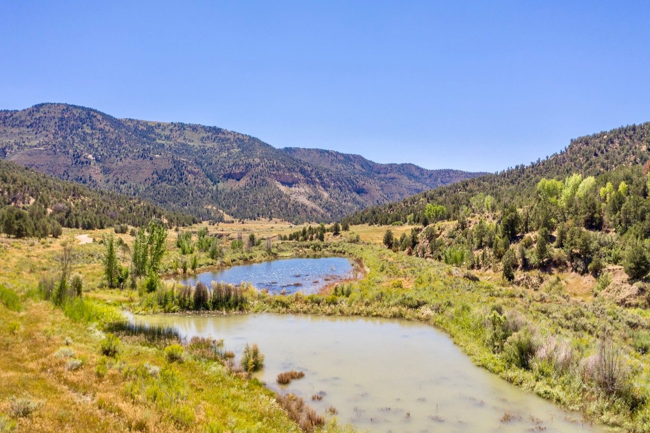 Weber Creek Ranch