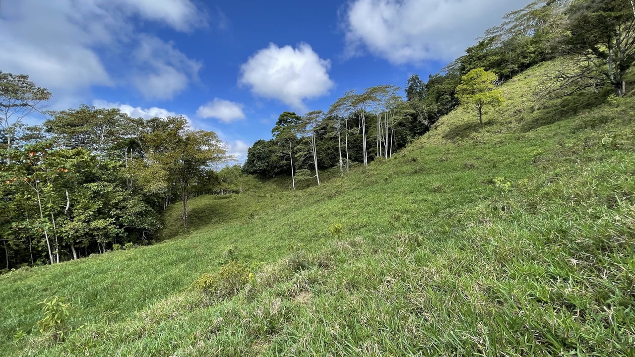 Whales Tail and Ocean View Farm, Over 39 acres