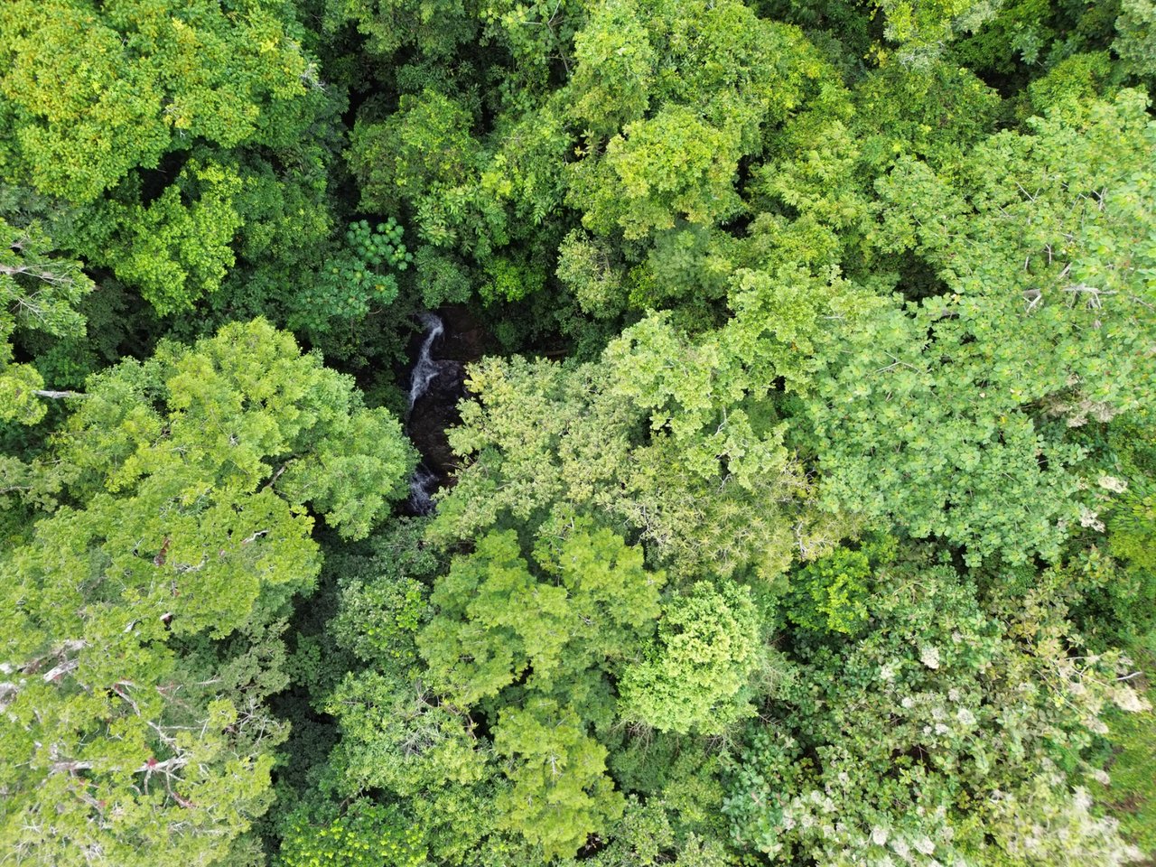 Ocean View Waterfall Farm, Jaco, Puntarenas