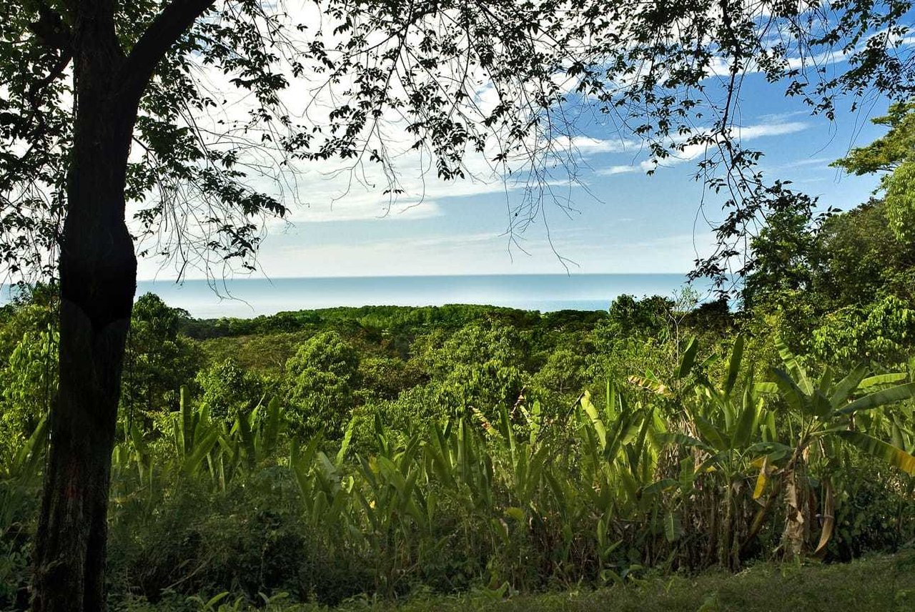 Shovel Ready Development Land, Manuel Antonio, Puntarenas