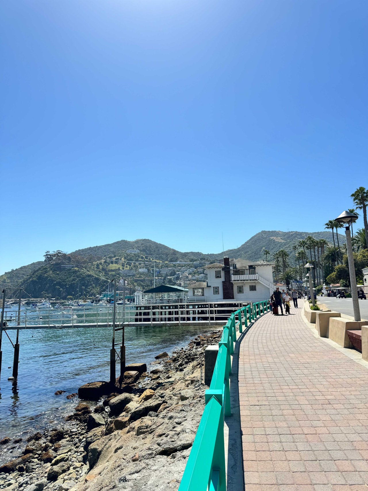 A Day Trip to Catalina Island