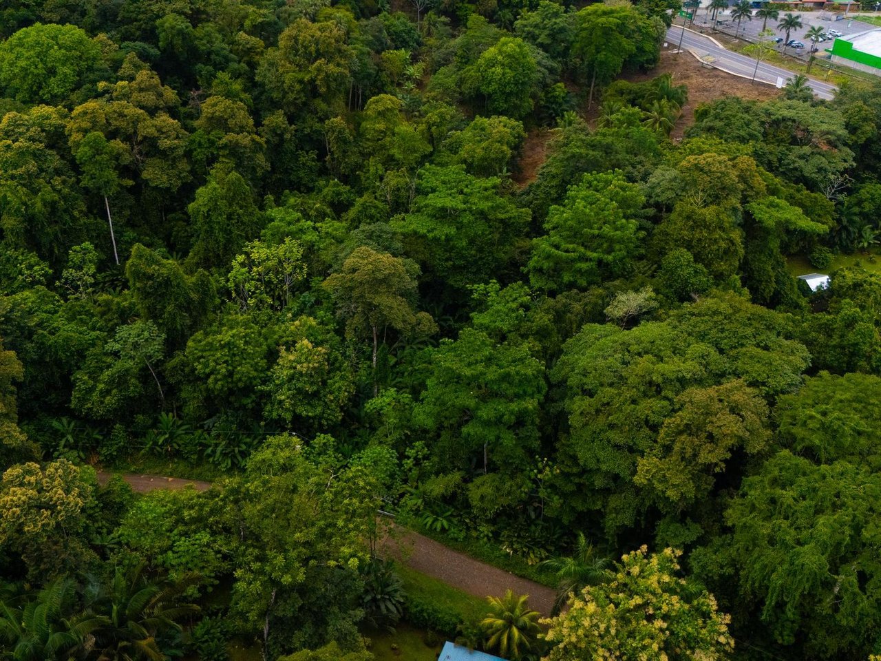 Prime Highway Commercial Lot, Uvita, Puntarenas