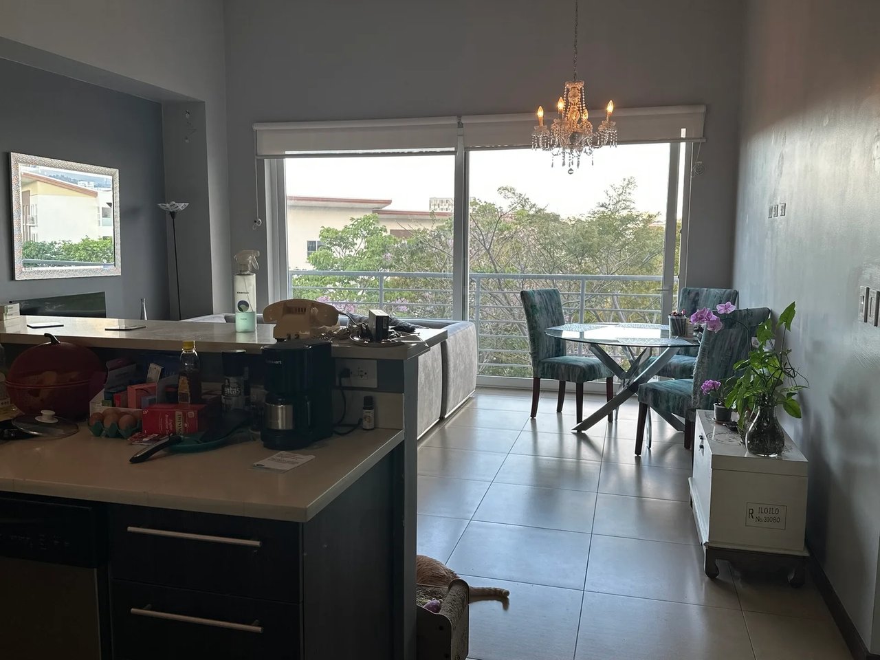Forest View Penthouse Condo, Escazu, San Jose