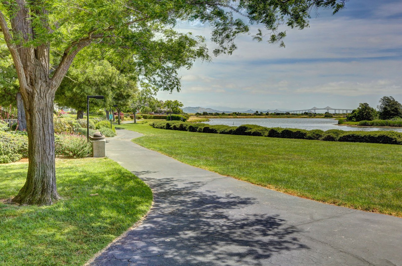 Vacation at Home on the Marin Bayshore