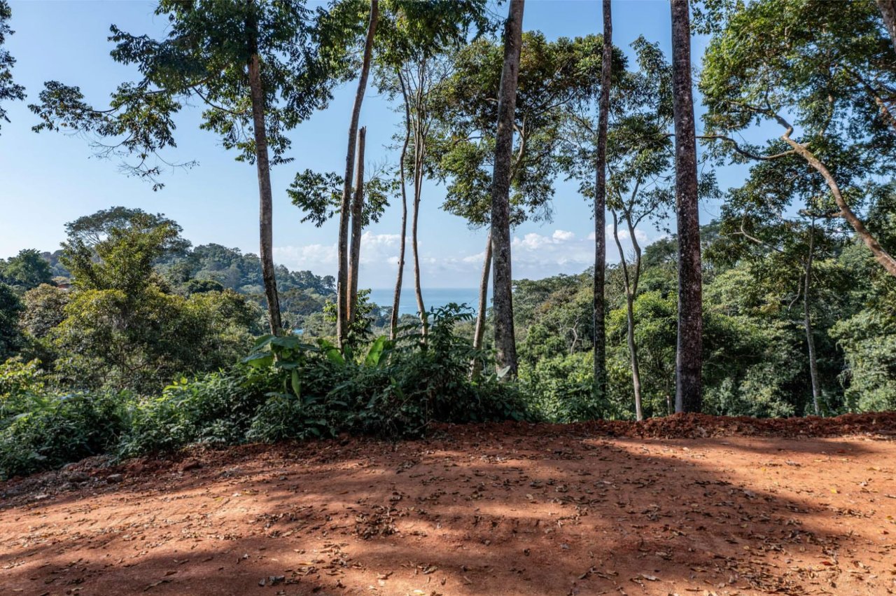 Ocean View Gated Development Lot, Dominical, Puntarenas