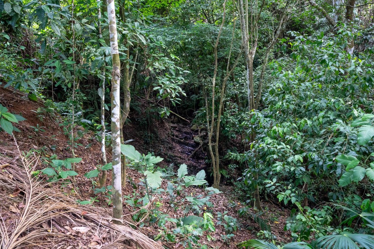 Private Ocean View Development Lot, Dominical, Puntarenas