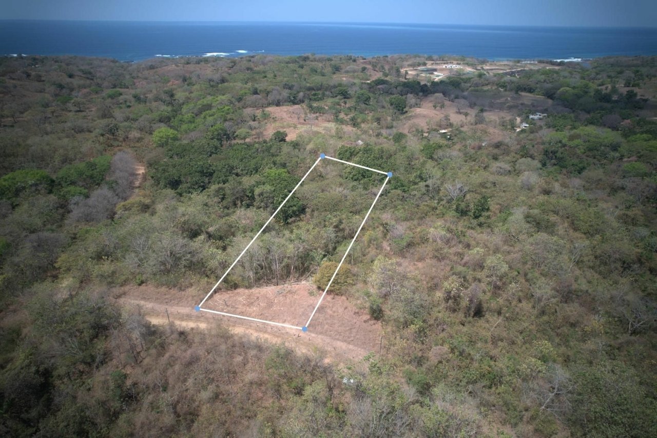 Commercial Ocean View Acreage, Nosara, Guanacaste