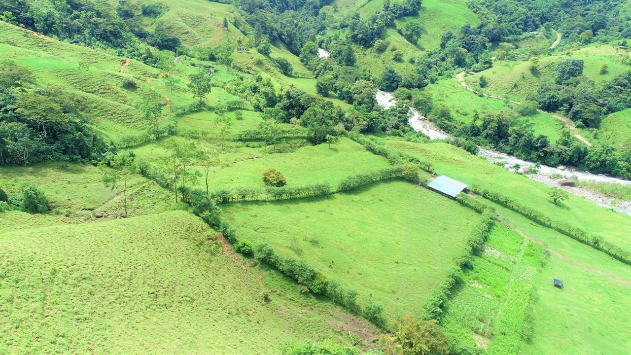 Riverfront Forest Farm, Perez Zeledon, San Jose