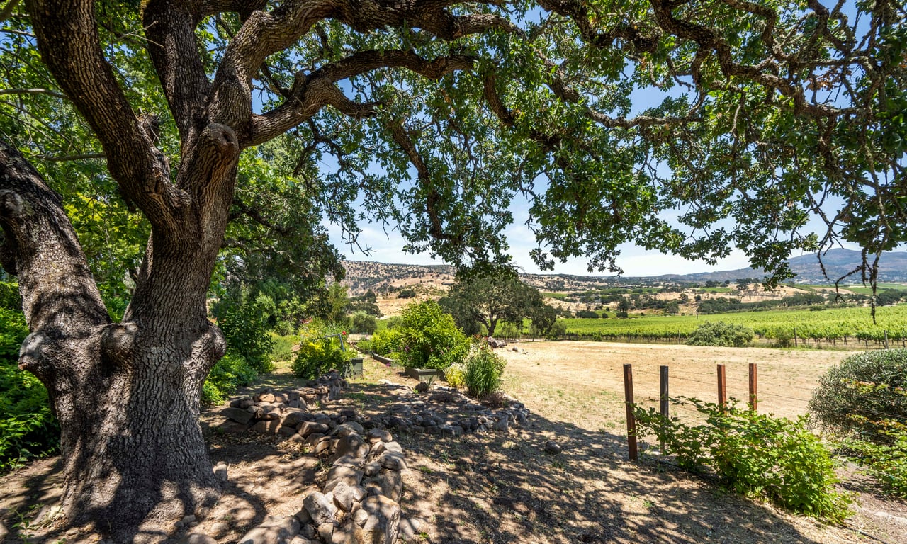 Stunning Napa Valley, Napa