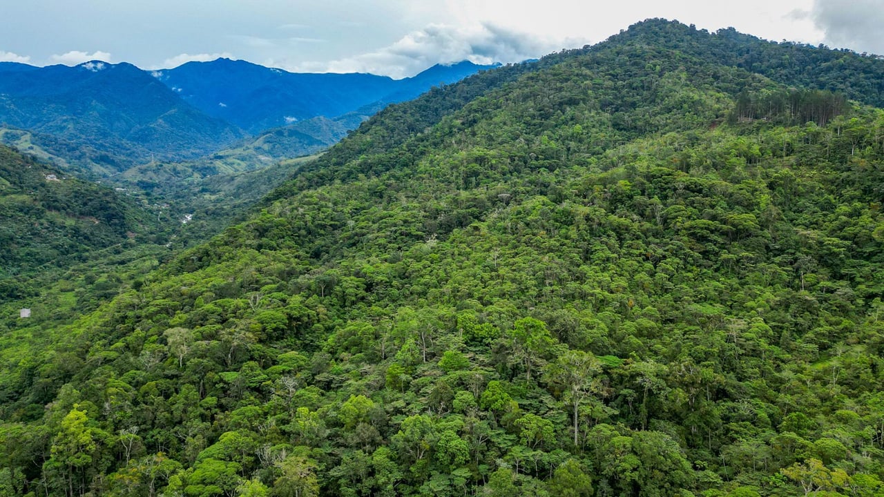 Riverfront Mountain View Acreage, Perez Zeledon, San Jose