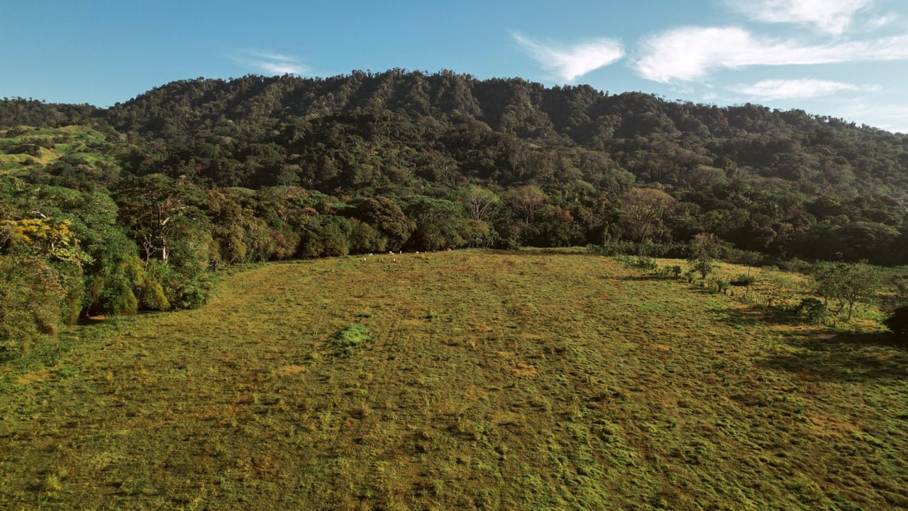 Highway Frontage Commercial Land, Manuel Antonio, Puntarenas