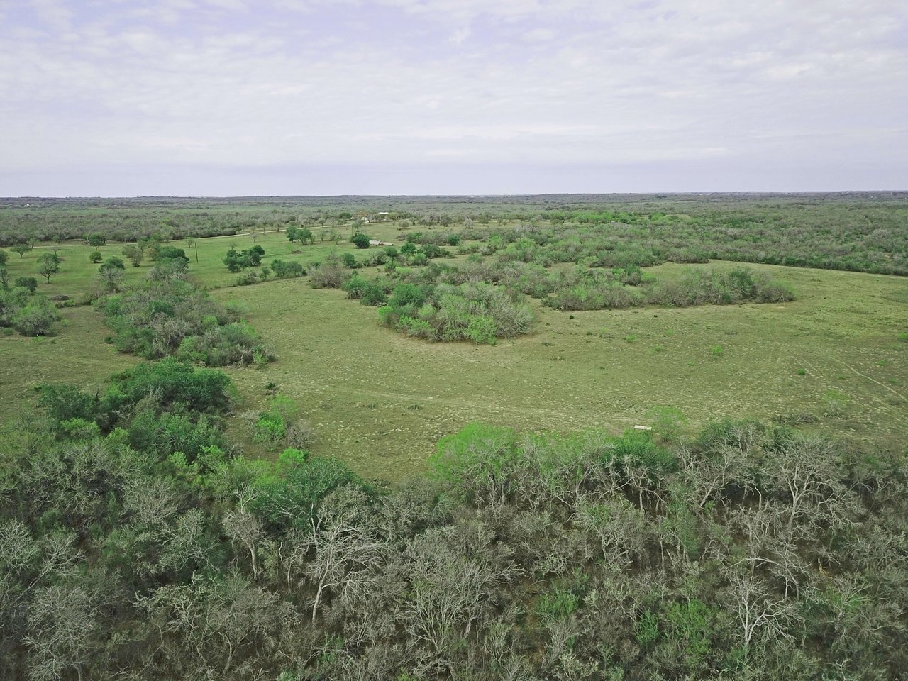 Bee County Lands