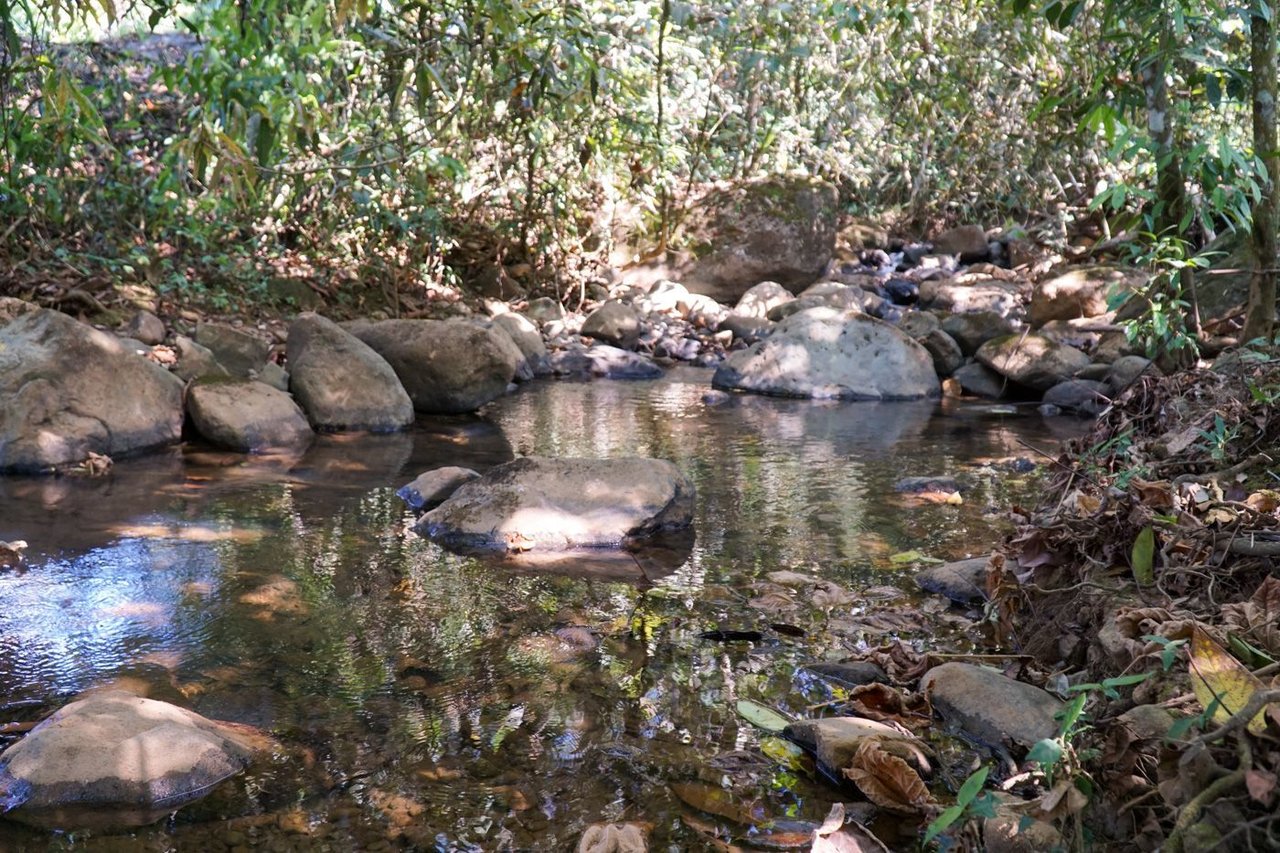 Creekfront Country Acreage Home, Perez Zeledon, San Jose